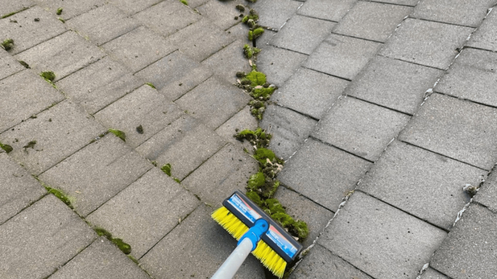 Moss Removal by Beaverton Gutter Cleaning